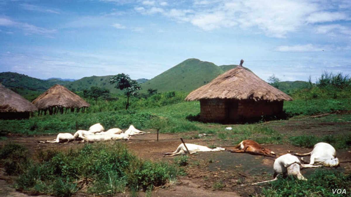 Do CO2 có mật độ dày hơn không khí nên những người ở trong khu vực gần hồ sẽ bị ngạt thở và tử vong.