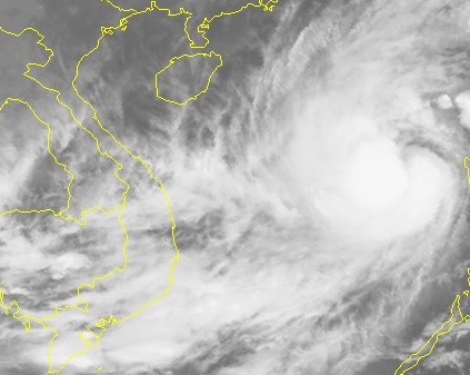 Hai kich ban do bo cua bao so 8