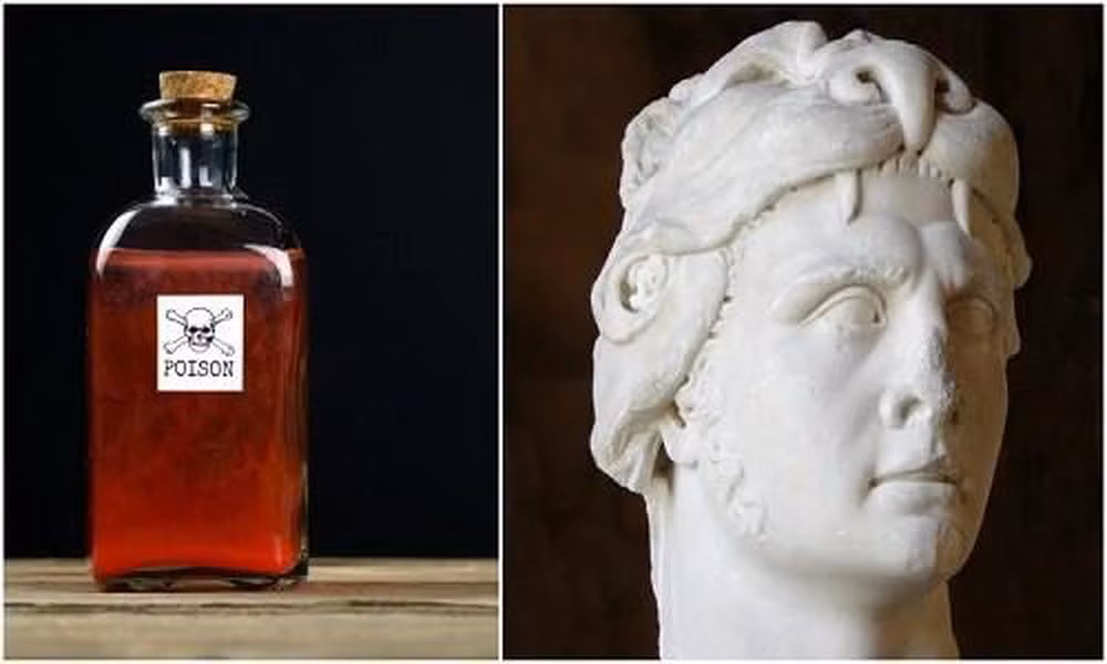 Trong thời gian ở ẩn, Mithridates VI nghĩ cách làm sao để tránh được kết cục bị đầu độc chết như vua cha. Sau một thời gian suy nghĩ, ông nghĩ ra quái chiêu rùng rợn. Đó là mỗi ngày Mithridates VI uống một lượng nhỏ thuốc độc có liều lượng thấp. Số độc dược này không đủ gây chết người. Ông tin rằng nếu như uống thuốc độc trong thời gian dài sẽ khiến bản thân miễn nhiễm với mọi loại thuốc độc.