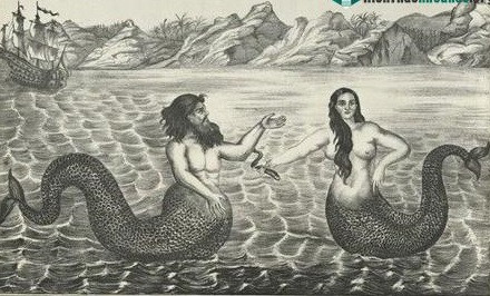 Trong suốt nhiều thế kỷ, các giai thoại, truyền thuyết về nàng tiên cá khiến công chúng tò mò và thích thú. Thậm chí, nhiều chuyên gia đi tìm các bằng chứng để chứng minh sự tồn tại của sinh vật bí ẩn nửa thân trên là người, nửa thân dưới là một cái đuôi to được bao bọc bởi lớp vảy lớn giống như đuôi cá.