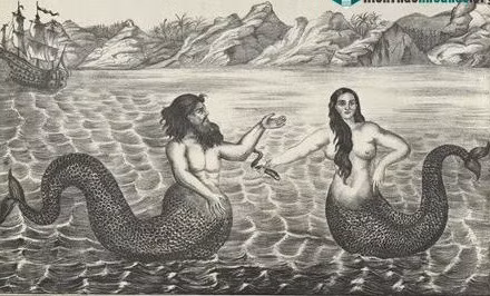 Trong suốt nhiều thế kỷ, các giai thoại, truyền thuyết về nàng tiên cá khiến công chúng tò mò và thích thú. Thậm chí, nhiều chuyên gia đi tìm các bằng chứng để chứng minh sự tồn tại của sinh vật bí ẩn nửa thân trên là người, nửa thân dưới là một cái đuôi to được bao bọc bởi lớp vảy lớn giống như đuôi cá.