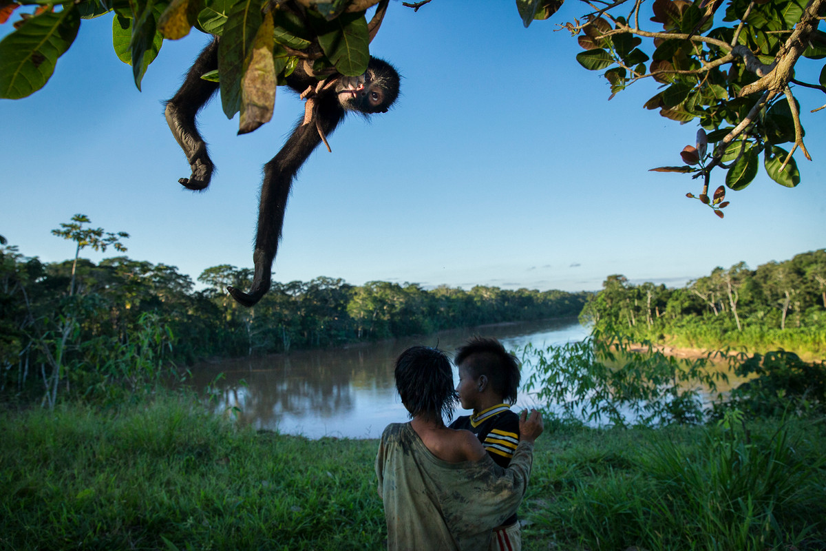 Sau khi chụp bức ảnh này, cuộc sống của Yoina được nhiều người quan tâm và dõi theo sau khi bức ảnh của Charlie Hamilton James (trong ảnh) được công bố. Thế nhưng, ít ai biết rằng, cuộc đời của Yoina từ bé đã gặp nhiều biến cố.