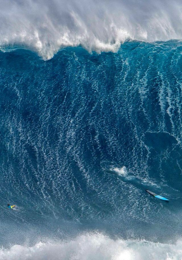 Tuy nhiên, chưa đầy 1 năm sau, dự án “Project Seal” bị hủy bỏ. Nguyên do là bởi giới chức quân sự Mỹ và New Zealand nhận thấy, những vụ nổ liên tiếp trong lòng đại dương cần một lượng thuốc nổ rất lớn.