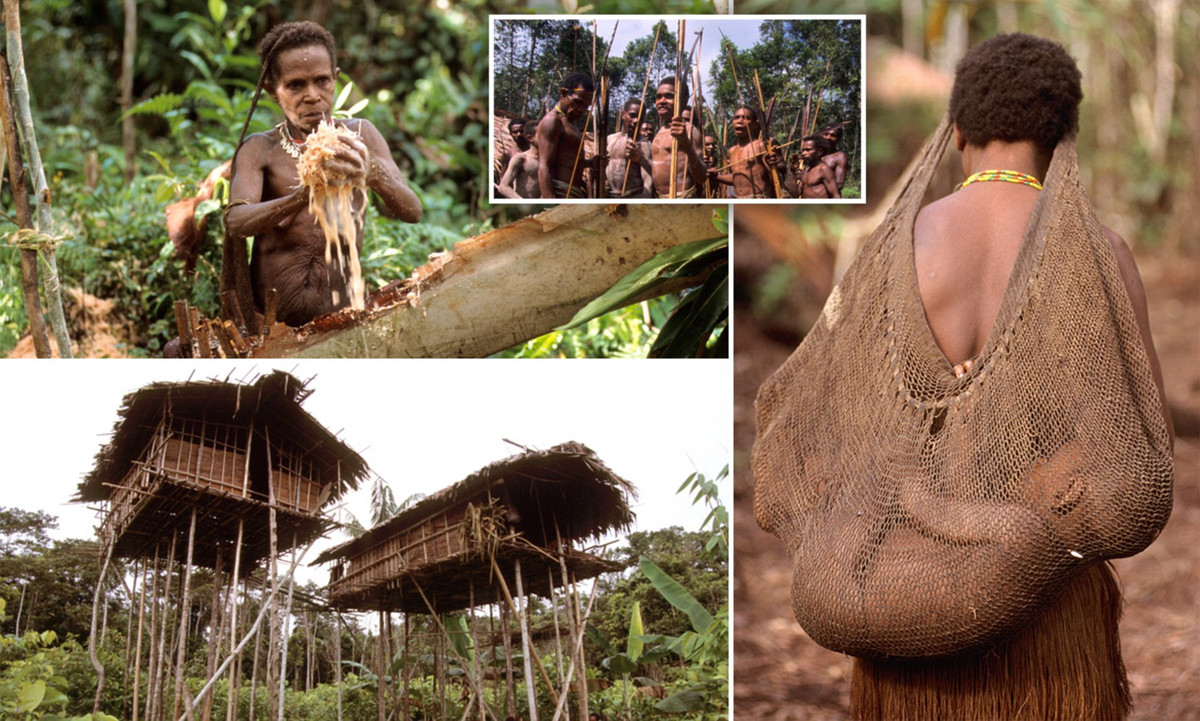 Bộ tộc Korowai sinh sống ở tỉnh Papua, Indonesia và có lịch sử tồn tại hơn 10.000 năm. Với dân số khoảng 3.000 người, các thành viên bộ tộc tin vào tái sinh.