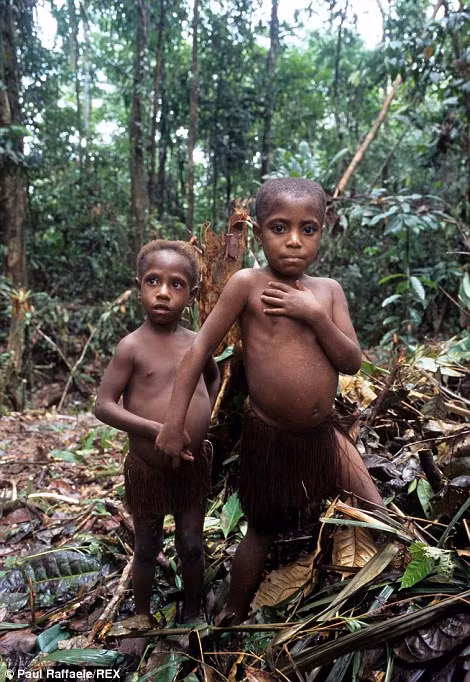 Bộ tộc Korowai thực hiện một số nghi lễ hiến tế động vật trong một số sự kiện quan trọng của cộng đồng.