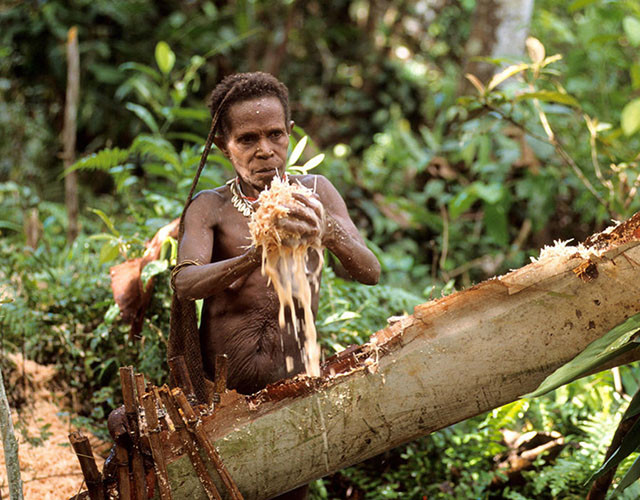 Các thành viên trong bộ tộc Korowai đều tin vào sự tái sinh. Họ làm nhiều bùa phép để cầu mong thần linh che chở và có cuộc sống tốt đẹp ở cả 2 thế giới: cõi dương và cõi âm.