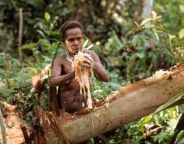 Các thành viên trong bộ tộc Korowai đều tin vào sự tái sinh. Họ làm nhiều bùa phép để cầu mong thần linh che chở và có cuộc sống tốt đẹp ở cả 2 thế giới: cõi dương và cõi âm.