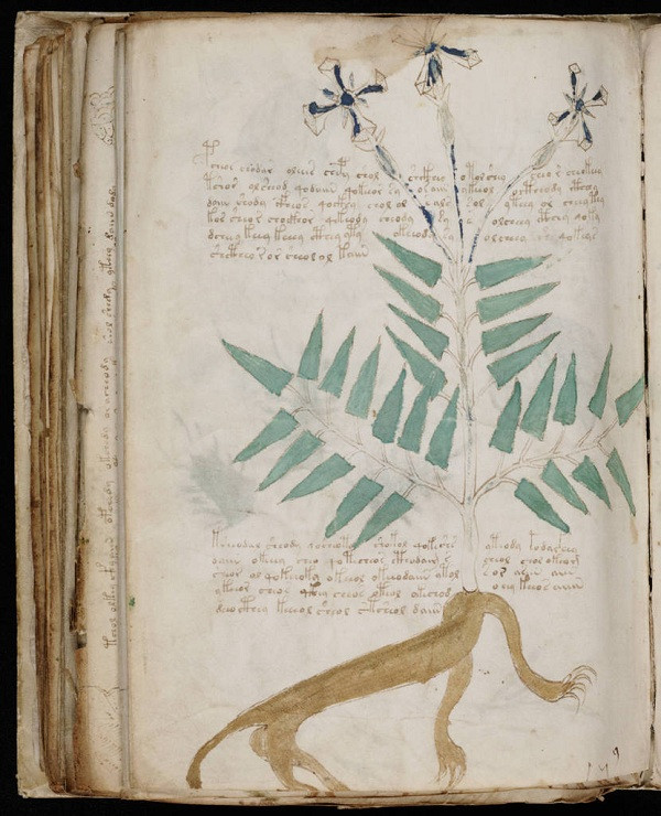 Trong khi chưa thể giải mã nội dung trong bản thảo Voynich, các chuyên gia tìm được tài liệu năm 1666 cho thấy Hoàng đế Rudolf II của đế chế La Mã thần thánh từng mua bản thảo Voynich với số tiền "khủng".