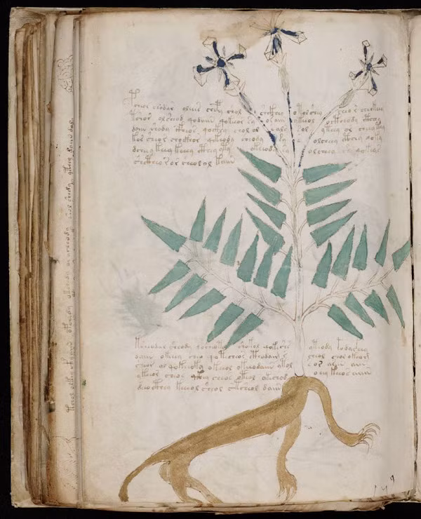 Trong khi chưa thể giải mã nội dung trong bản thảo Voynich, các chuyên gia tìm được tài liệu năm 1666 cho thấy Hoàng đế Rudolf II của đế chế La Mã thần thánh từng mua bản thảo Voynich với số tiền "khủng".