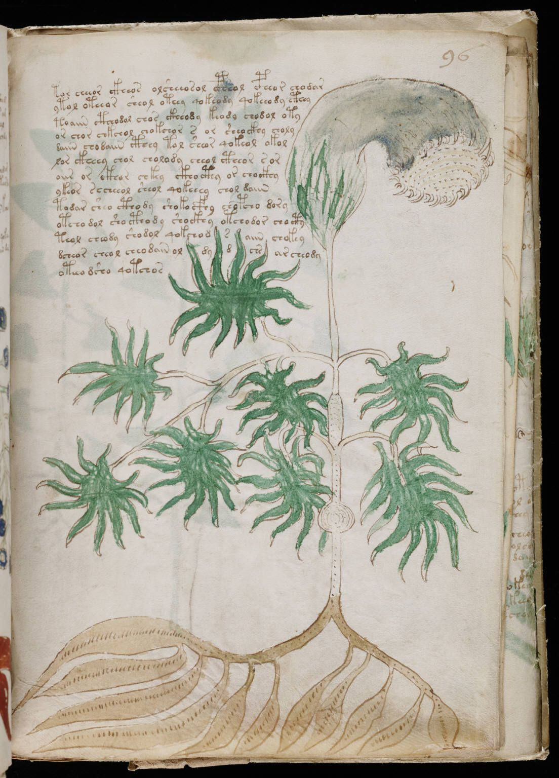 Dựa vào các phân tích, bản thảo Voynich được xác định có niên đại khoảng 600 năm tuổi. Các chuyên gia sử dụng nhiều phương pháp giải mã khác nhau để lý giải các ký tự bí ẩn.