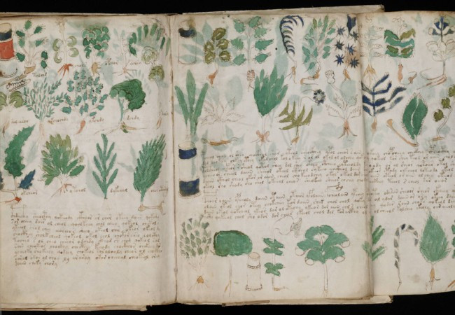 Những ký tự bí ẩn và hình vẽ lạ lùng trong cuốn sách thu hút sự chú ý của giới khoa học. Trong suốt nhiều năm, các chuyên gia cố gắng giải mã nội dung cuốn sách.