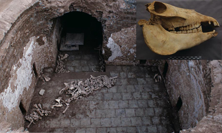 Cạm bẫy nguy hiểm và chết chóc nhất trong mộ cổ Trung Quốc thời phong kiến được cho là bẫy hố cát.