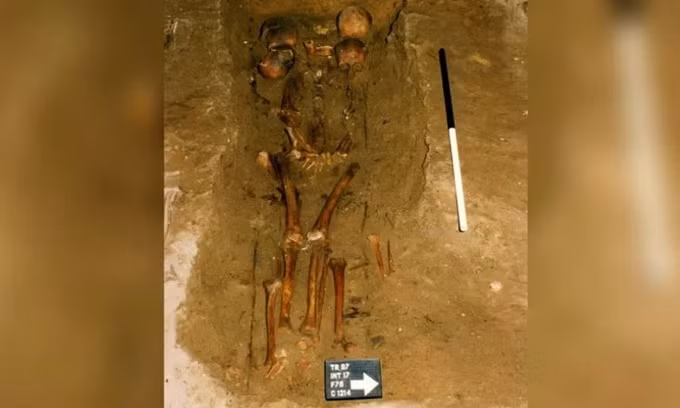 Vào năm 1997, các nhà khảo cổ phát hiện một ngôi mộ thời Trung cổ có 6 hộp sọ gần bệ một nhà thờ của giáo xứ ở Portmahomack, làng chài gần khu vực Easter Ross, Scotland.