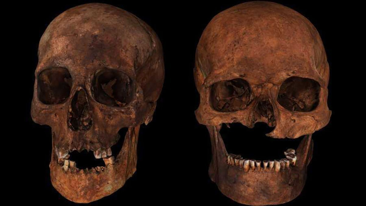 Kể từ khi phát hiện đến nay, các chuyên gia nỗ lực nghiên cứu và thực hiện một số kiểm tra như xét nghiệm ADN để tìm ra những hộp sọ này có quan hệ huyết thống hay không.