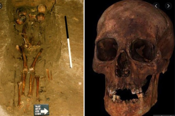 Người đàn ông này có chiều cao khoảng 175 cm. Ông là người cao nhất trong số tất cả hài cốt cổ đại khai quật ở Portmahomack. Ngôi mộ nằm ở vị trí trung tâm nhà thờ chứng tỏ người được chôn cất có địa vị và sức ảnh hưởng lớn thời đó.