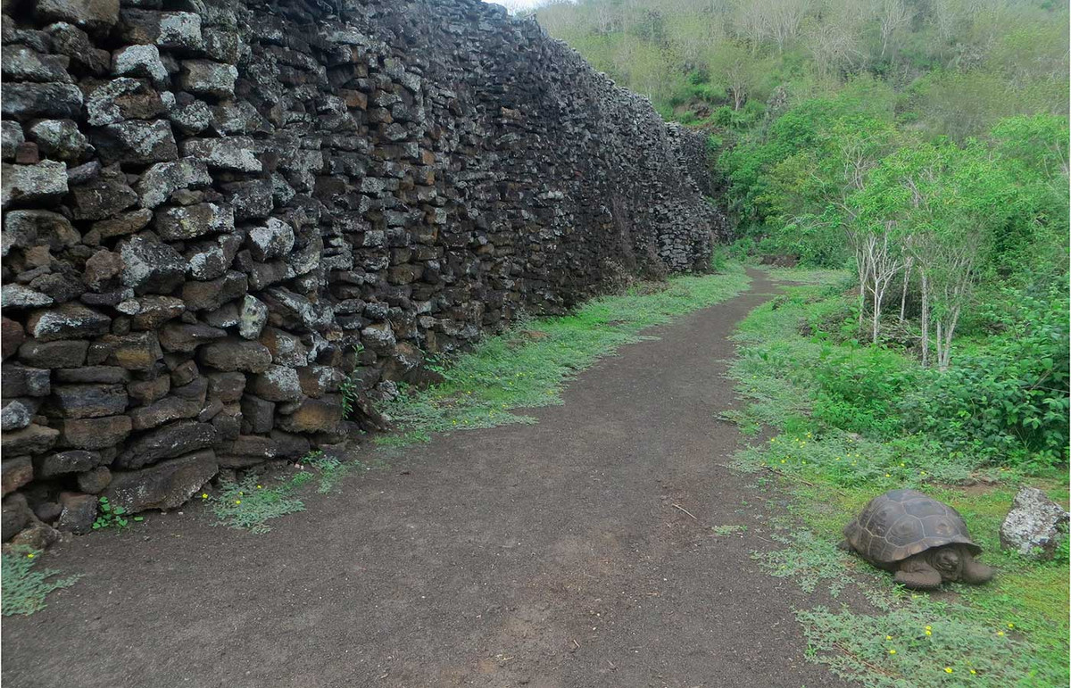 Hàng ngày, tù nhân phải đi bộ quãng đường rất xa để đến mỏ đá. Tại đây, họ làm công việc cắt đá từ núi lửa và mang trở lại địa điểm xây dựng bức tường.