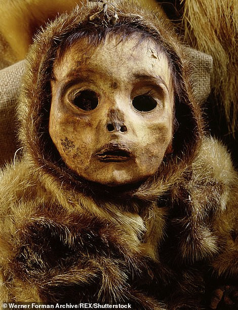 Đây không phải là điều hiếm gặp ở xã hội Inuit gần 500 năm trước. Người Inuit có tập tục chôn cất trẻ nhỏ theo mẹ để kiếp sau vẫn là người trong cùng một gia đình.