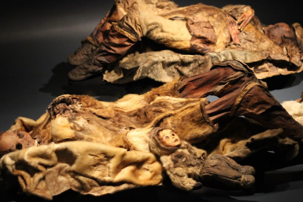 Thế nhưng, sau khi phát hiện 8 xác ướp, các chuyên gia chuyển đến phòng nghiên cứu, tiến hành một loạt kiểm tra và có tìm ra những bí mật bất ngờ.