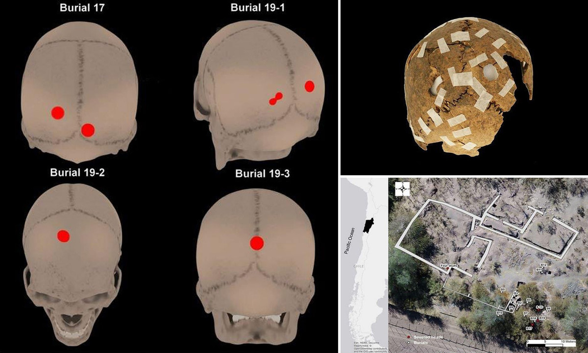 Theo kết quả phân tích và kiểm tra, 3 trong số 4 hộp sọ là của nữ giới. Họ qua đời trong độ tuổi từ 16 - 30. Hộp sọ còn lại là của một đứa trẻ Inca 11 tuổi.