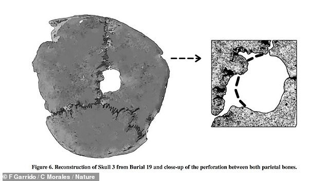 Việc hộp sọ bị cắt lìa khỏi thi thể mà nạn nhân là phụ nữ và trẻ em cho thấy nghi lễ hiến tế người của đế chế Inca vô cùng tàn khốc.