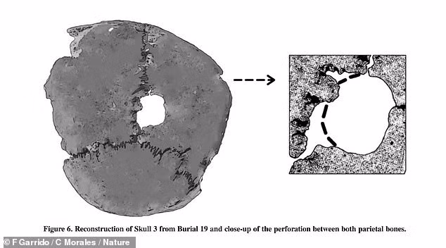 Việc hộp sọ bị cắt lìa khỏi thi thể mà nạn nhân là phụ nữ và trẻ em cho thấy nghi lễ hiến tế người của đế chế Inca vô cùng tàn khốc.
