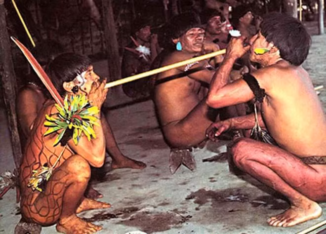 Theo CNN, bộ tộc này sống tách biệt hoàn toàn với thế giới bên ngoài, không biết chăn nuôi, trồng trọt. Họ sinh sống hoàn toàn dựa vào thiên nhiên, đi thu lượm hoa quả, rau củ, săn bắt thú rừng và cá làm thức ăn. Đàn ông đi săn bắn, phụ nữ hái lượm để kiếm sống.