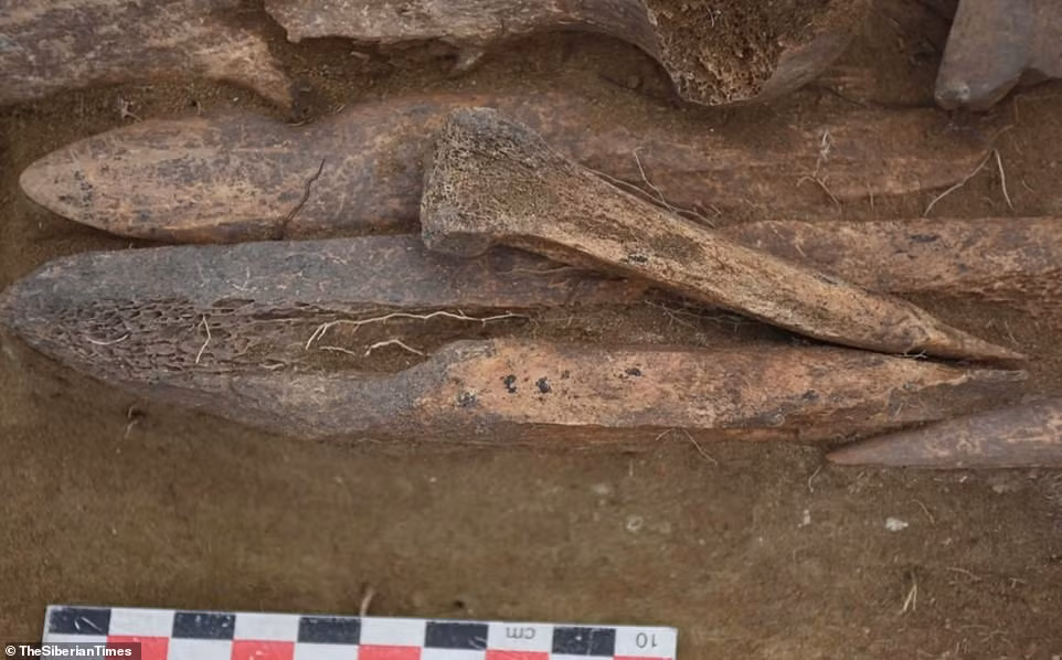 Trước những bí ẩn này, các chuyên gia thực hiện những nghiên cứu sâu hơn nhằm giải mã về tập tục mai táng của người Odinov.