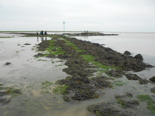 Không những vậy, vào những ngày trời mưa hay sương mù dày đặc, du khách có thể mất phương hướng và đi vào khu vực cát lún hoặc bùn mềm. Nếu du khách không thể trở lại đất liền trước khi thủy triều lên thì có thể gặp nguy hiểm đến tính mạng.