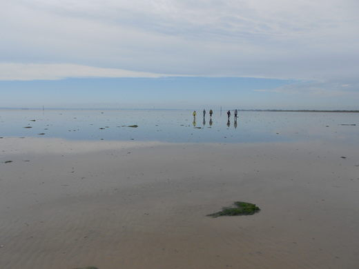 Ngoài ra, con đường Broomway còn vắt qua một khu vực thử nghiệm vũ khí của Anh. Bộ Quốc phòng thường cho thử nghiệm tại khu vực Maplin Sands và cửa sông Thames. Sau nhiều vụ thử nghiệm vũ khí, các vũng sâu được hình thành.