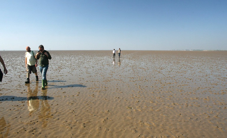 Nhưng vũng sâu trên bị thủy triều lấp đầy bằng phù sa và tạo thành những hố cát lún mà đa số mọi người không thể phát hiện. Đây được xem là cái bẫy cho những người đi trên khu vực này, bởi vũng sâu khó đoán. Tuy có nhiều nguy hiểm trên con đường này và có biển cảnh báo, nhưng hằng năm vẫn có những du khách mạo hiểm đi qua chỉ để trải nghiệm, khám phá.