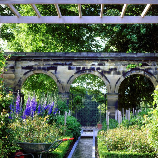 Nhiều loài cây trong khu vườn này do Jane Percy - Nữ công tước xứ Northumberland thu thập từ nhiều nơi rồi đem về trồng.