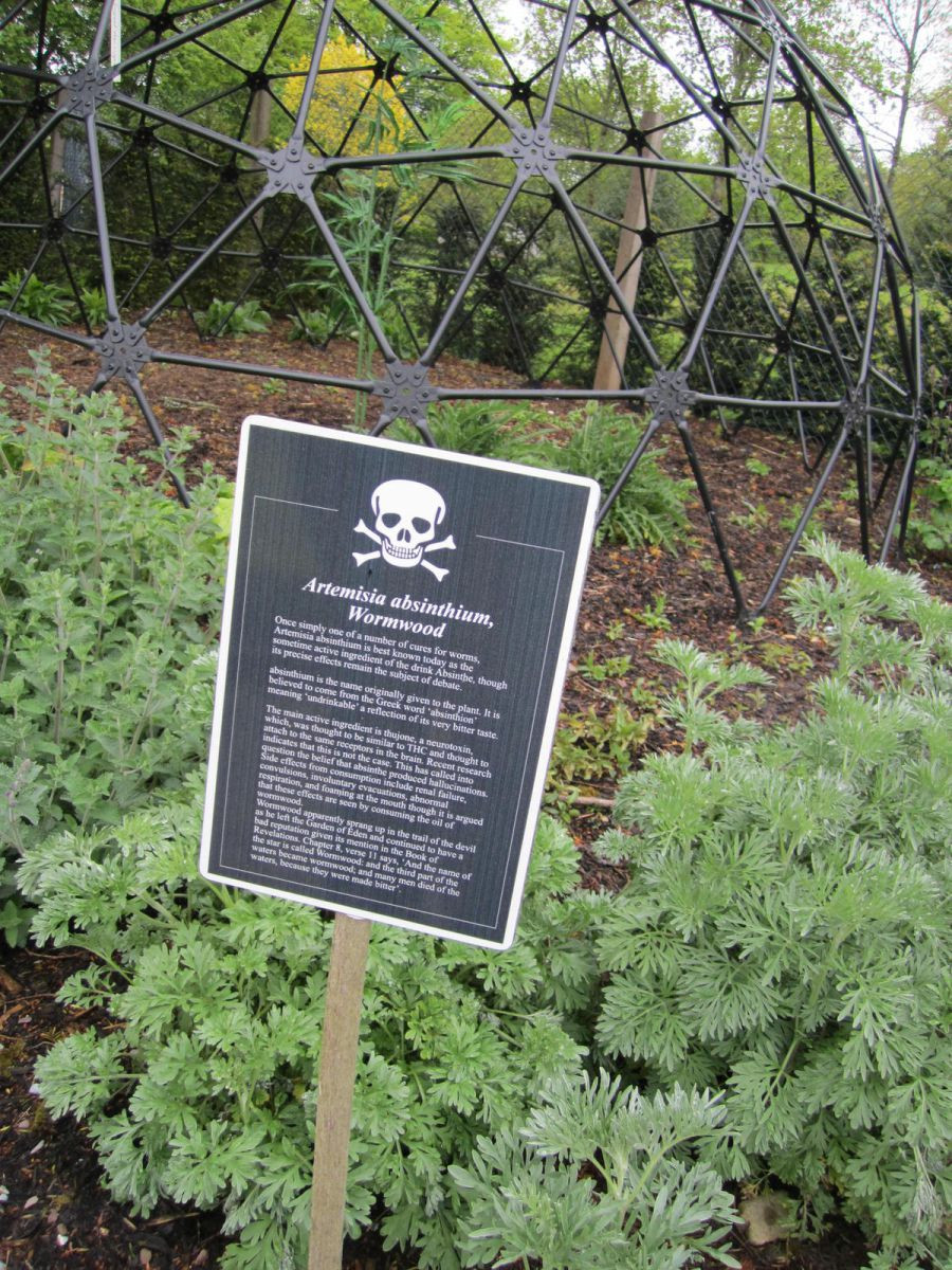 Mọi người cũng được khuyến cáo không ngửi hay sờ vào các loài cây trong khu vườn "chết chóc" này.