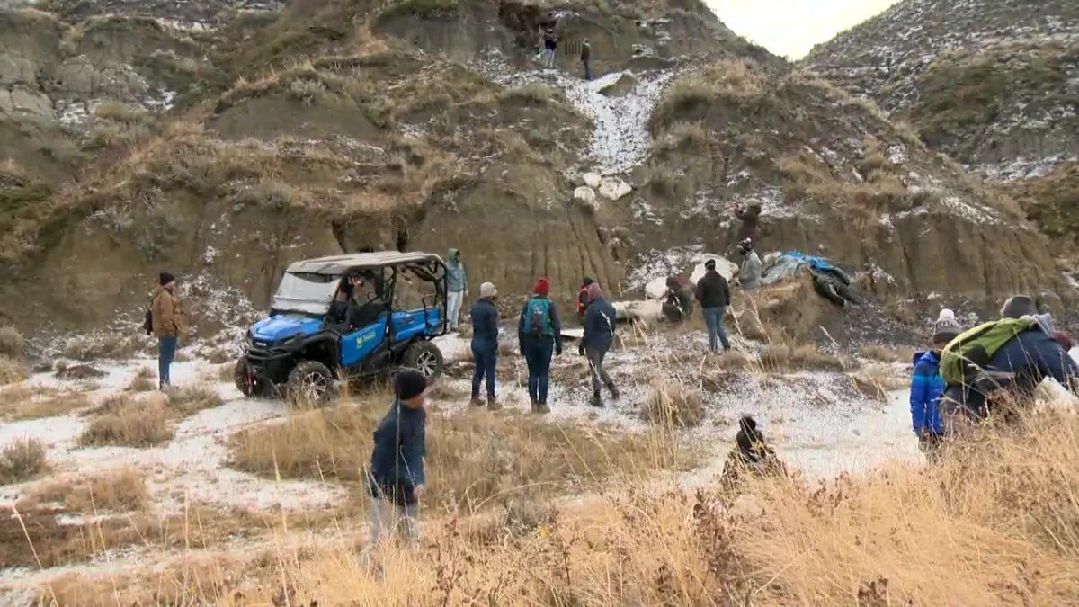 Vì vậy, việc cậu bé Nathan vô tình tìm thấy hóa thạch khủng long gần 70 triệu năm tuổi vô cùng đặc biệt và có ý nghĩa quan trọng.