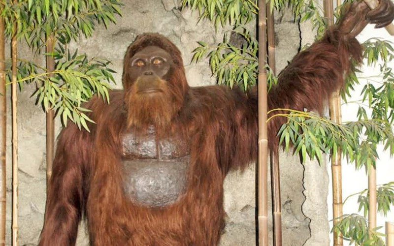 Đặc biệt, một số người tuyên bố chụp được ảnh quái vật Bigfoot nhưng với chất lượng hình ảnh thấp. Theo đó, những câu chuyện về sinh vật bí ẩn này ngày càng nổi tiếng hơn.