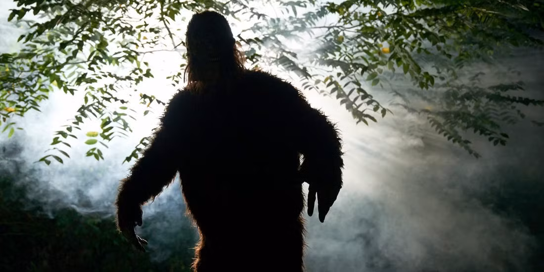 Trong nhiều thập kỷ qua, quái vật Bigfoot (chân to) còn gọi là Sasquatch trở thành tâm điểm thu hút sự chú ý của dư luận cũng như giới truyền thông. Nguyên do là bởi sinh vật bí ẩn này thường xuất hiện đột ngột và mãi không bị "tóm".