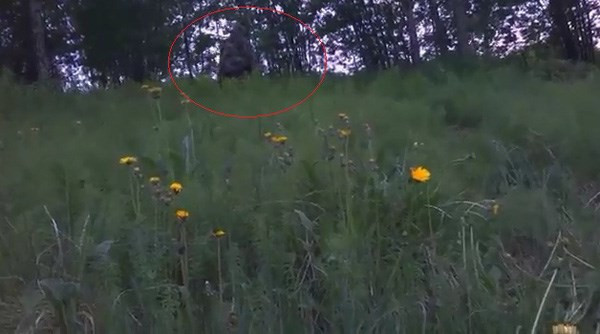 Thậm chí, một vài nhân chứng kể rằng khi quái vật Bigfoot nhìn thấy họ liền có hành động hung hăng. Đó là sinh vật bí ẩn lấy đá và ném về phía các nhân chứng trước khi biến mất không để lại dấu vết nào.