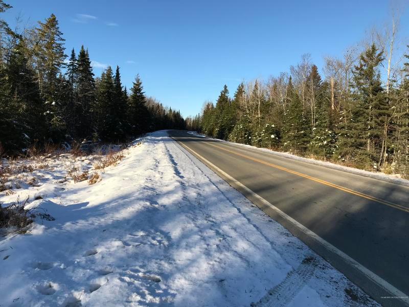 Thế nhưng, khi các tài xế dừng xe và lại gần người phụ nữ thì người này biến mất. Họ cho rằng bản thân đã nhìn thấy "hồn ma" nên toàn thân cảm thấy rùng mình ớn lạnh.