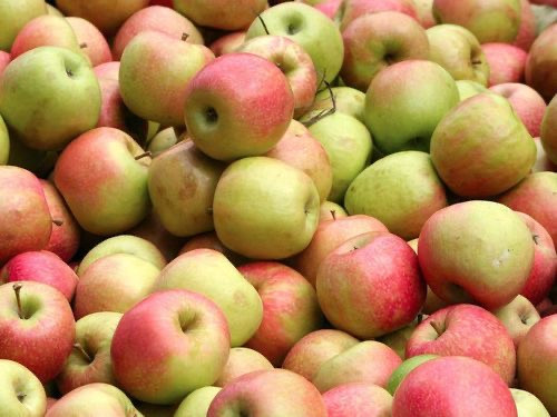 Câu hỏi tuyển dụng kỹ sư phần mềm QA: Có 3 hộp, một hộp đựng táo, một hộp đựng cam, một hộp có cả táo vào cam. Các hộp này bị dán nhãn sai toàn bộ, không chỉ đúng loại quả có trong hộp. Bạn được phép mở một hộp, lấy một quả bất kỳ bên trong nhưng không được phép nhìn. Vậy, bằng cách nào để xác định loại quả trong từng hộp và sửa lại nhãn dán đúng cho cả 3 hộp?