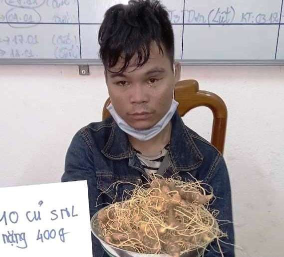 Xac dinh doi tuong trom 10 cu sam Ngoc Linh quy tai Quang Nam