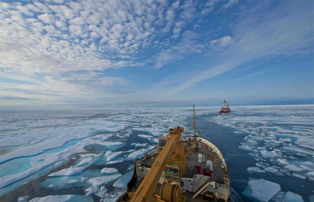 Đây cũng là nơi sinh sống của nhiều loài động vật hoang dã như cá voi, gấu trắng, hải cẩu... Năm 2007, sau một mùa hè ấm áp đến khó tin, cả khu vực gần như không còn băng, đe dọa nghiêm trọng đến sự tồn tại của loài gấu trắng.