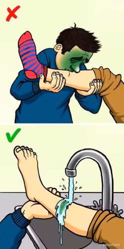 Hầu hết rắn không nguy hiểm và không độc. 80% trường hợp bị rắn cắn là khi mọi người đang cố bắt chúng. Nếu bạn bị rắn cắn, đừng cố gắng hút chất độc ra khỏi vết thương như chúng ta thường thấy trong phim. Tốt hơn là rửa vết thương bằng nước máy và gọi cho dịch vụ cứu hộ.