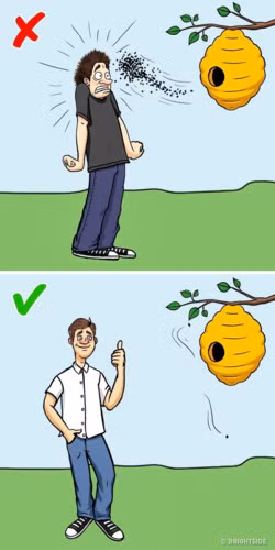 Ong sẽ không đốt ngay cả khi bạn đi qua. Màu sắc tối thu hút sự chú ý của ong. Vì vậy, nếu bạn đang mặc một chiếc áo thun tối, bạn có nguy cơ bị ong đốt cao hơn. Nếu ong đuổi theo bạn, hãy trốn ở nơi tối tăm. Việc thiếu ánh sáng sẽ làm cho ong hiểu lầm.