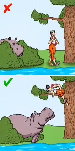 Nhiều người chết vì hà mã hơn là cá sấu. Nếu thời tiết nóng, cố gắng không đi vào bụi cây vì trong thời kỳ hạn hán, mực nước xuống thấp, hà mã hay trú ẩn ở đây. Nếu gặp hà mã, leo lên cây hoặc một tảng đá lớn, hoặc một ngọn đồi. Chờ ở đó cho đến khi con vật bỏ đi.