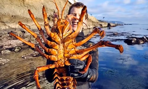 Chân dung "lão tướng” của đại dương Chan dung "lao tuong” cua dai duong