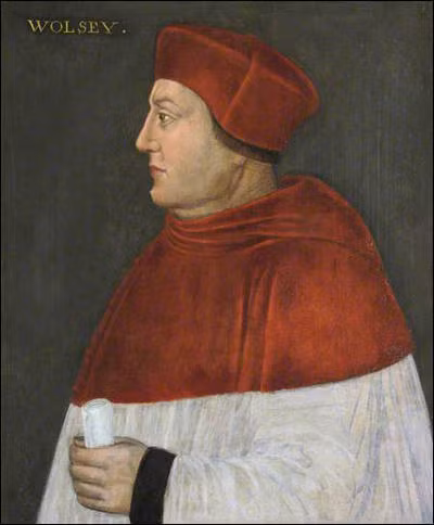  Thomas Wolsey (IQ: 200) Thomas Wolsey là một giáo sĩ, chính khách và là hồng y người Anh của Giáo hội Công giáo Roma. Khi Henry VIII trở thành vua của nước Anh năm 1509, Wolsey trở thành vị quan phát chẩn của nhà vua.