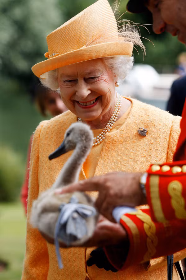 Nhung dac quyen vo cung thu vi cua Nu hoang Anh