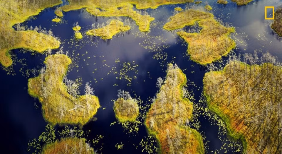 Một đầm lầy tại Riga, Latvia cũng hiện lên thật thi vị dưới ống kính nhiếp ảnh gia.