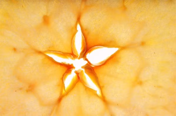 Nhung dieu ban chua biet ve le hoi ma Halloween-Hinh-6