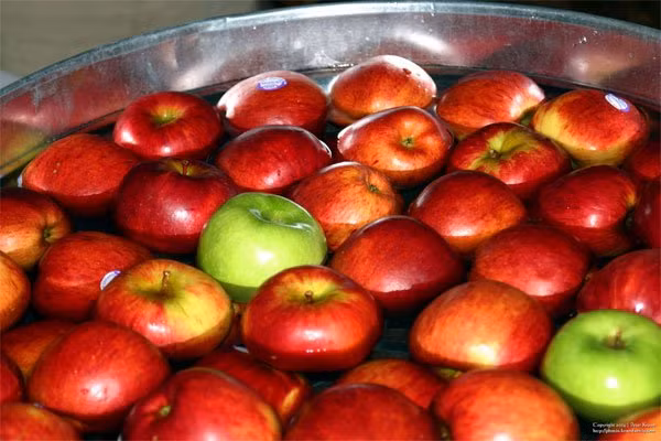 Nhung dieu ban chua biet ve le hoi ma Halloween-Hinh-5