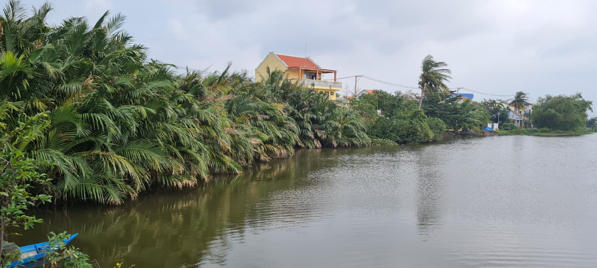  Làng rau Trà Quế nằm ngay bên cạnh dòng sông Cổ Cò hiền hòa, thơ mộng.